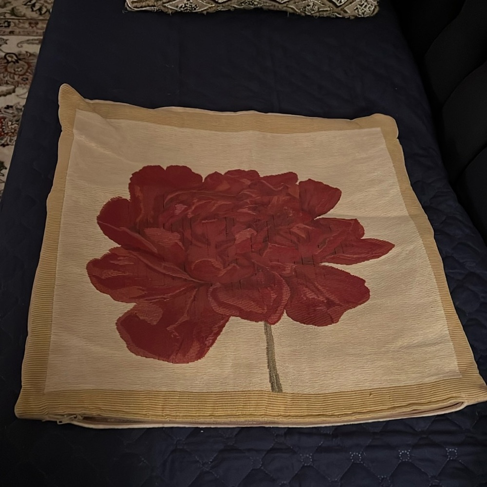 Ballard Design pillow cover